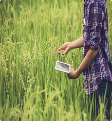 Crop Farmers