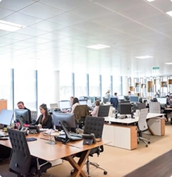 IT Services and Tech Consultants